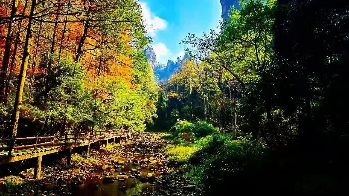 84424802f9280a0782893fcbb5c8beed-sz_102288 84424802f9280a0782893fcbb5c8beed-sz_102288