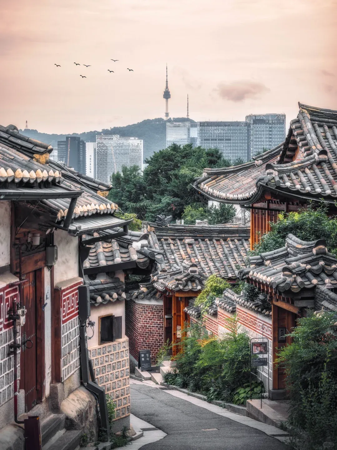 844b173776d19ed979014b4f17fb8496-sz_2846989