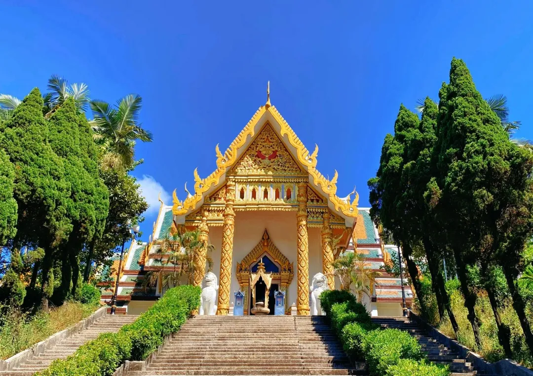 8467b9b69410858155aa0217982e7efa-sz_5068828