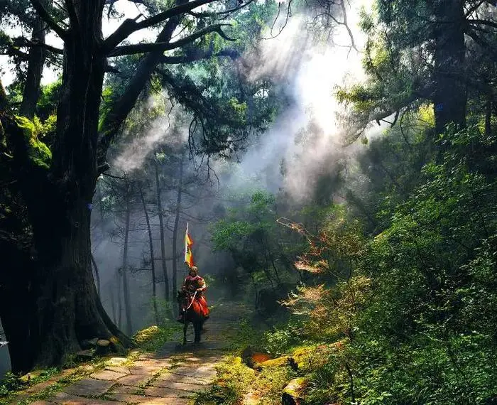 8479a582cff07572129217af5bcc74e9-sz_123432 8479a582cff07572129217af5bcc74e9-sz_123432