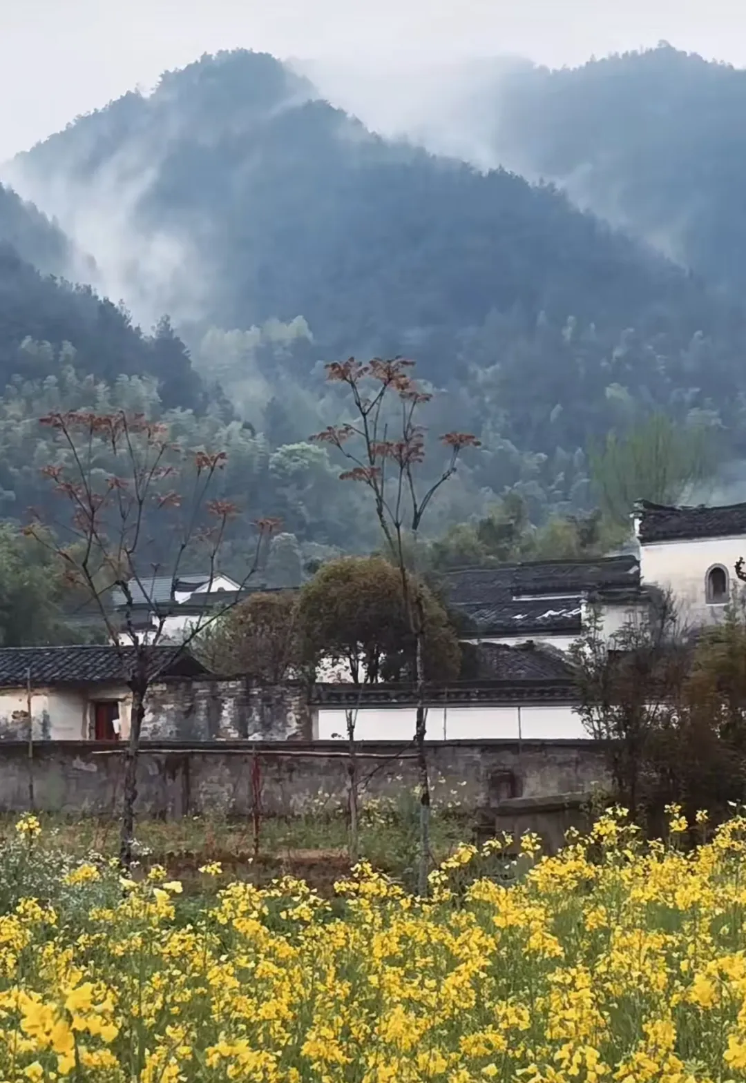 847b7c1fe56da763e6f74b2a1c82b619-sz_1547750-2