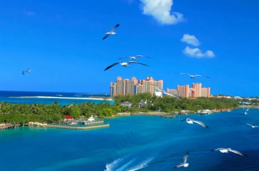 8481dd18db443b604e282815df784cdb-sz_320826