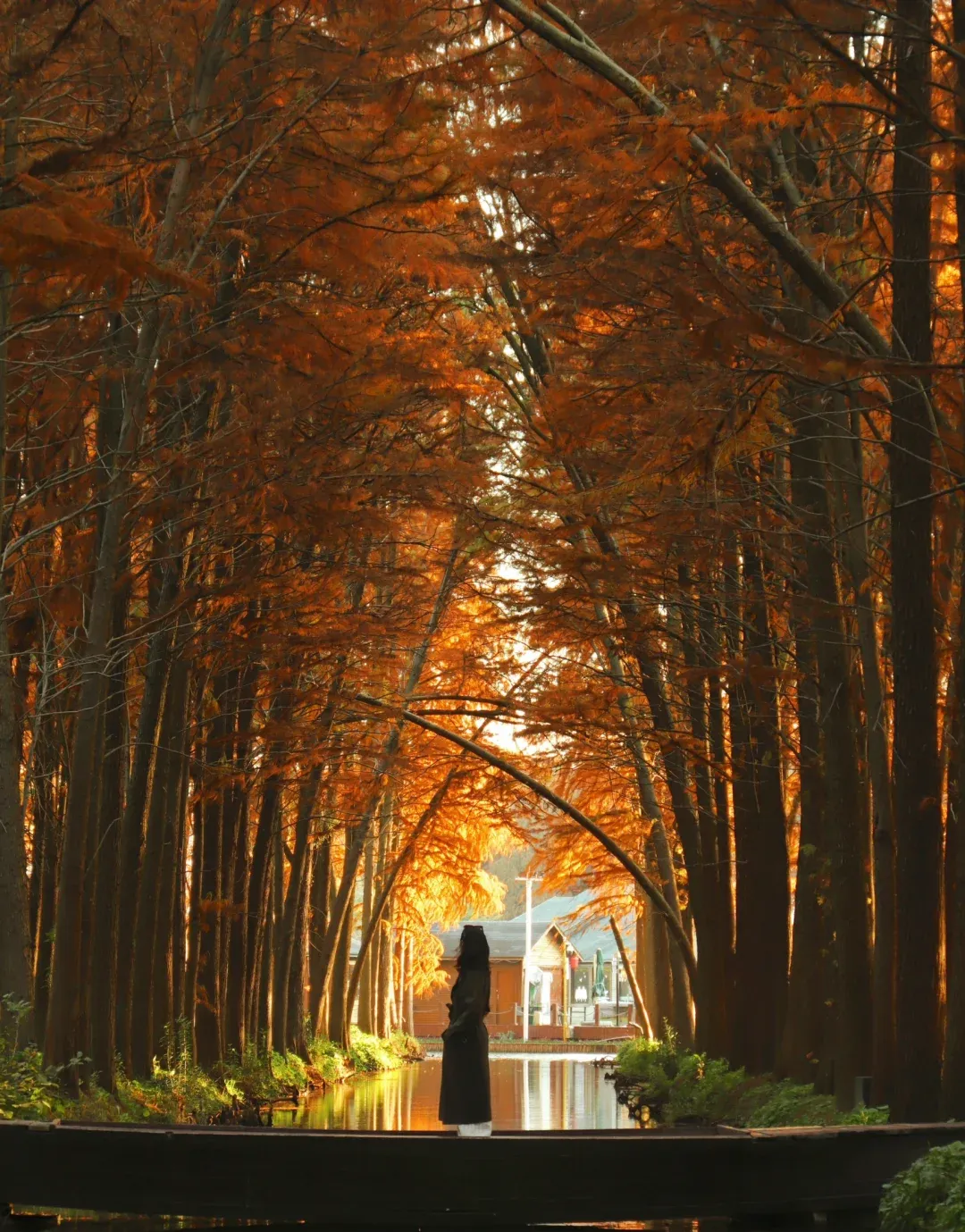 8483b30498b9bc5b6fe7aa30378936b9-sz_2538337 8483b30498b9bc5b6fe7aa30378936b9-sz_2538337