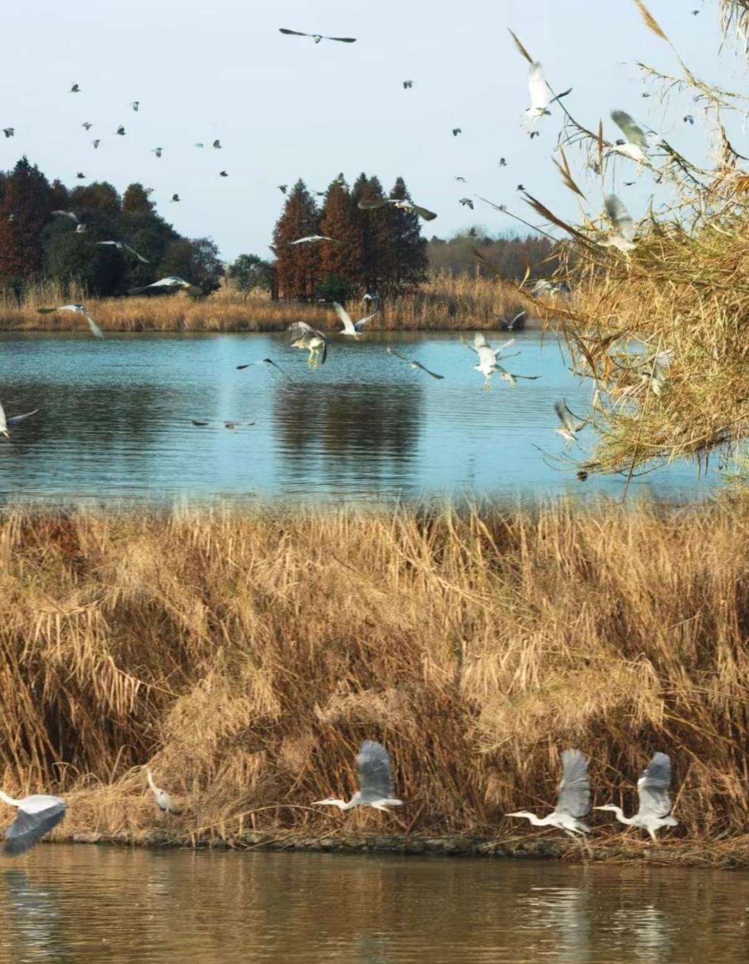 848a7b9b7adcafd9a0b0958fda9bcc5b