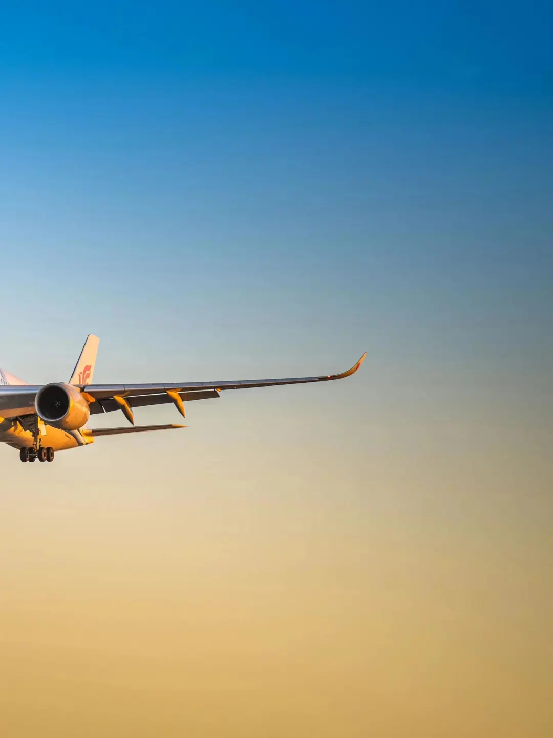 848fb593306e501baa91bcd07decee67-sz_147419-1