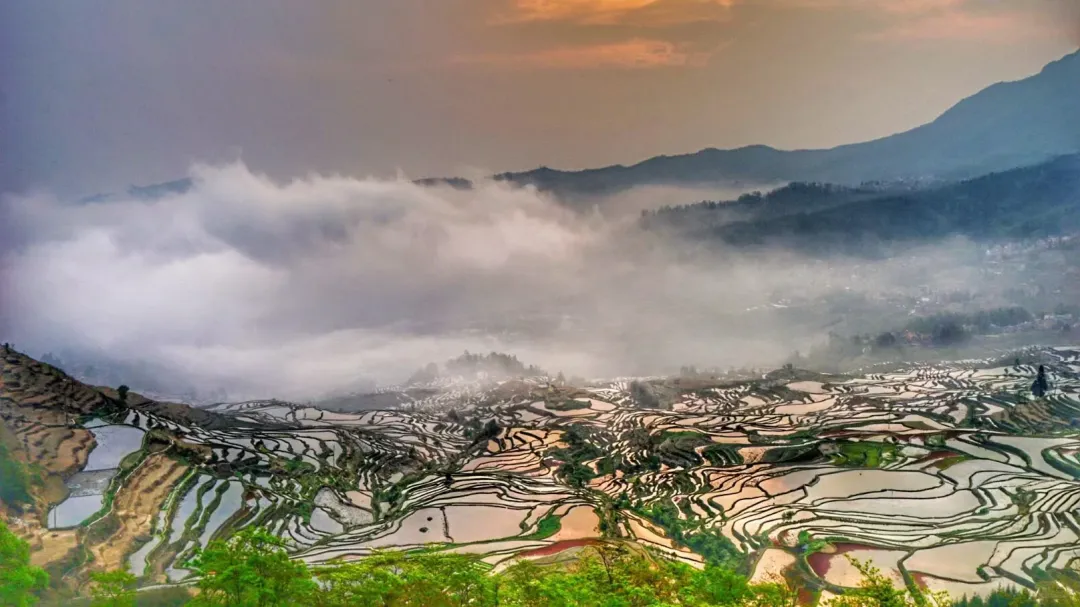 84a24903bb5bd1578d5bbe38fb5b163c-sz_2509706