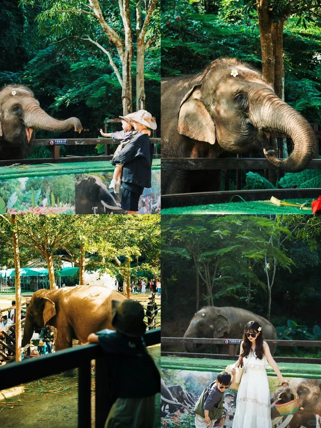 84be742316e80ad06891b13823ca1469-sz_591206