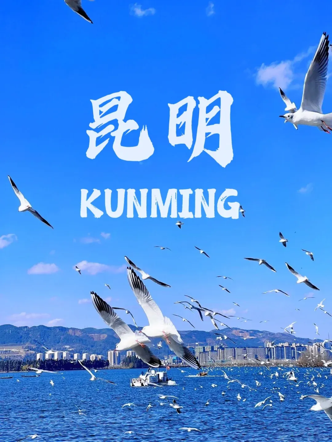 2026春节顶配！高奢纯玩天花板 0 购物 0 自费「云南大玩家」双飞6日￥6780元起、住得好+吃得好+全含+不带钱包去旅行