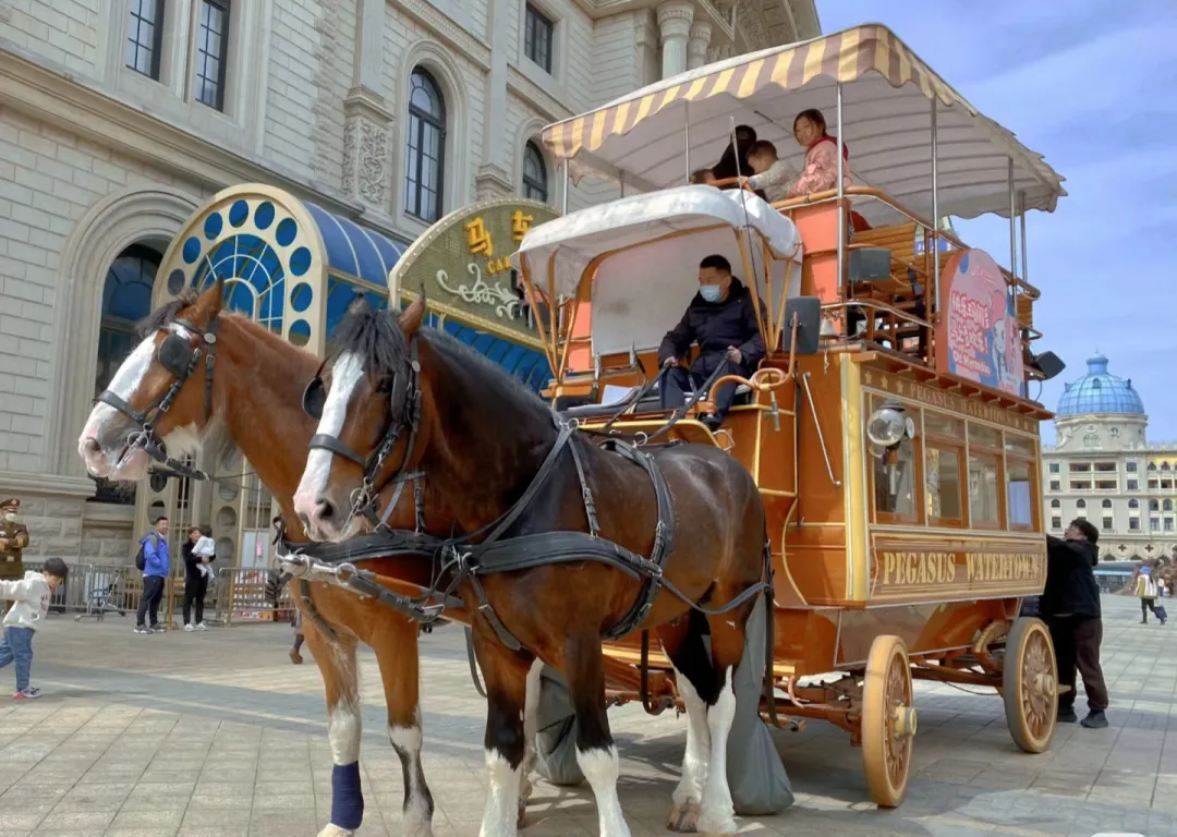 84eb824a5d860d76b4b395189d16830d-sz_1031212 84eb824a5d860d76b4b395189d16830d-sz_1031212