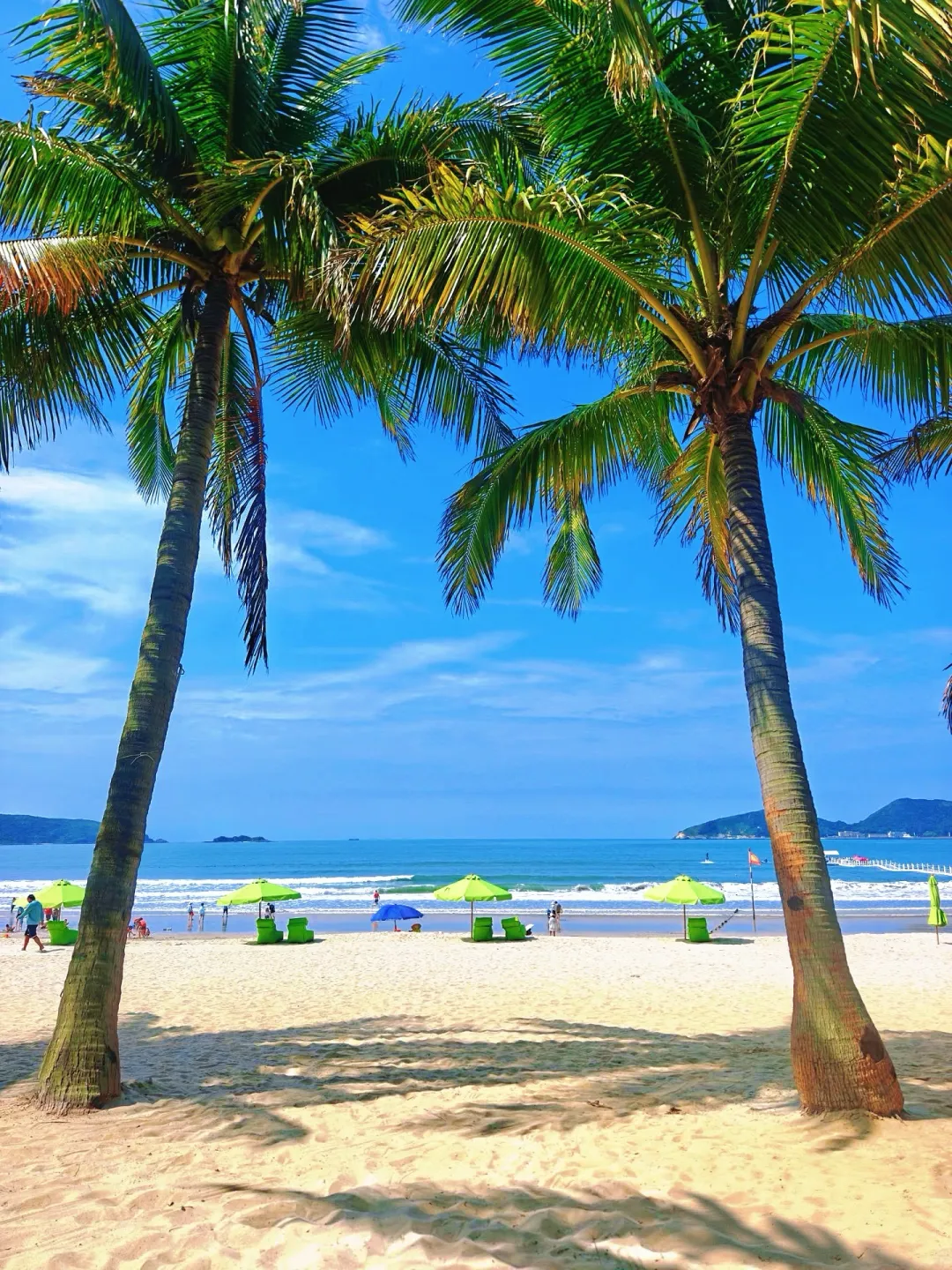 8509f04a0d65d0aad4f9ed36a12386c5-sz_3676413-1