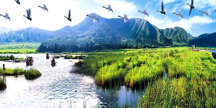 85193df872706e1ddf3fa6f17600ebfb-sz_67219 85193df872706e1ddf3fa6f17600ebfb-sz_67219