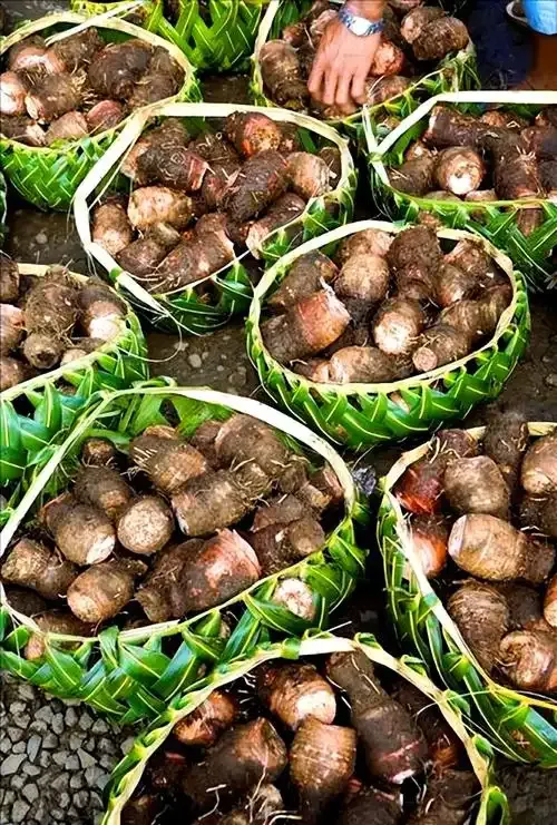 8519c3335f5dc2f5bf292c517d05010f-sz_1129303 8519c3335f5dc2f5bf292c517d05010f-sz_1129303