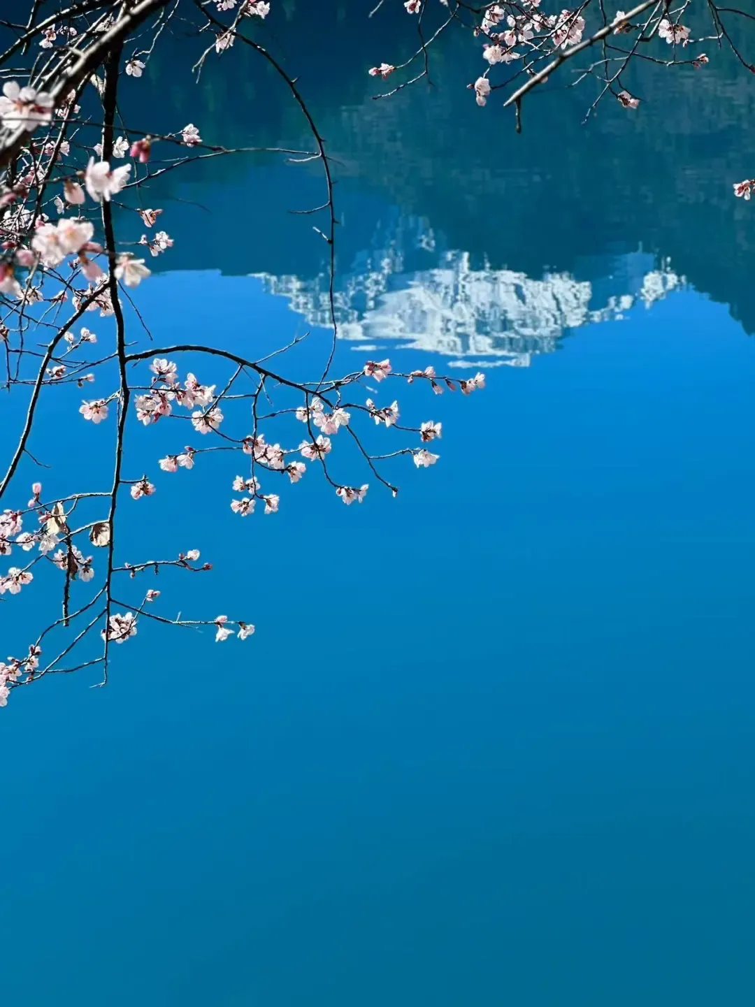 8520b0a9b8512ca21725786146c73938-sz_1521970