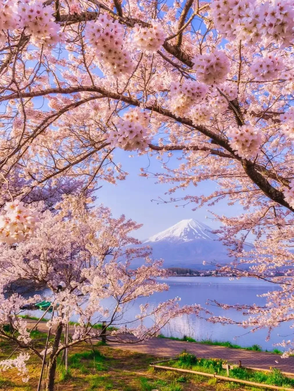 854152c12f087b6725eb5267a26981ae-sz_574288