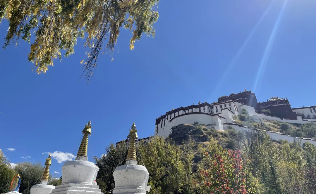 8567d614b406f76c1017c68fd2939091-sz_6641399-1 8567d614b406f76c1017c68fd2939091-sz_6641399-1