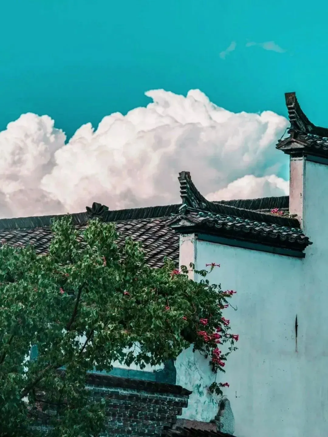 856c5ae6cbba0a38ab5075b004af7899-sz_624434