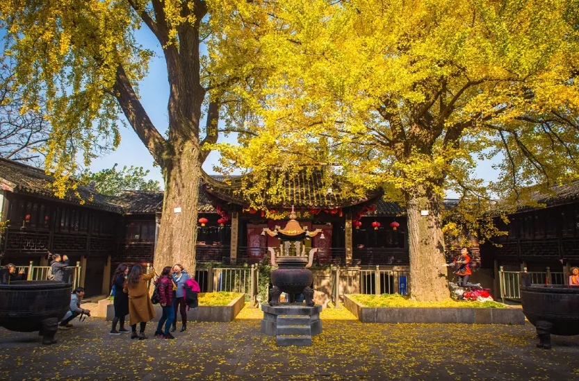 8586a07613889a967d0dec301b91d84c-sz_1266273