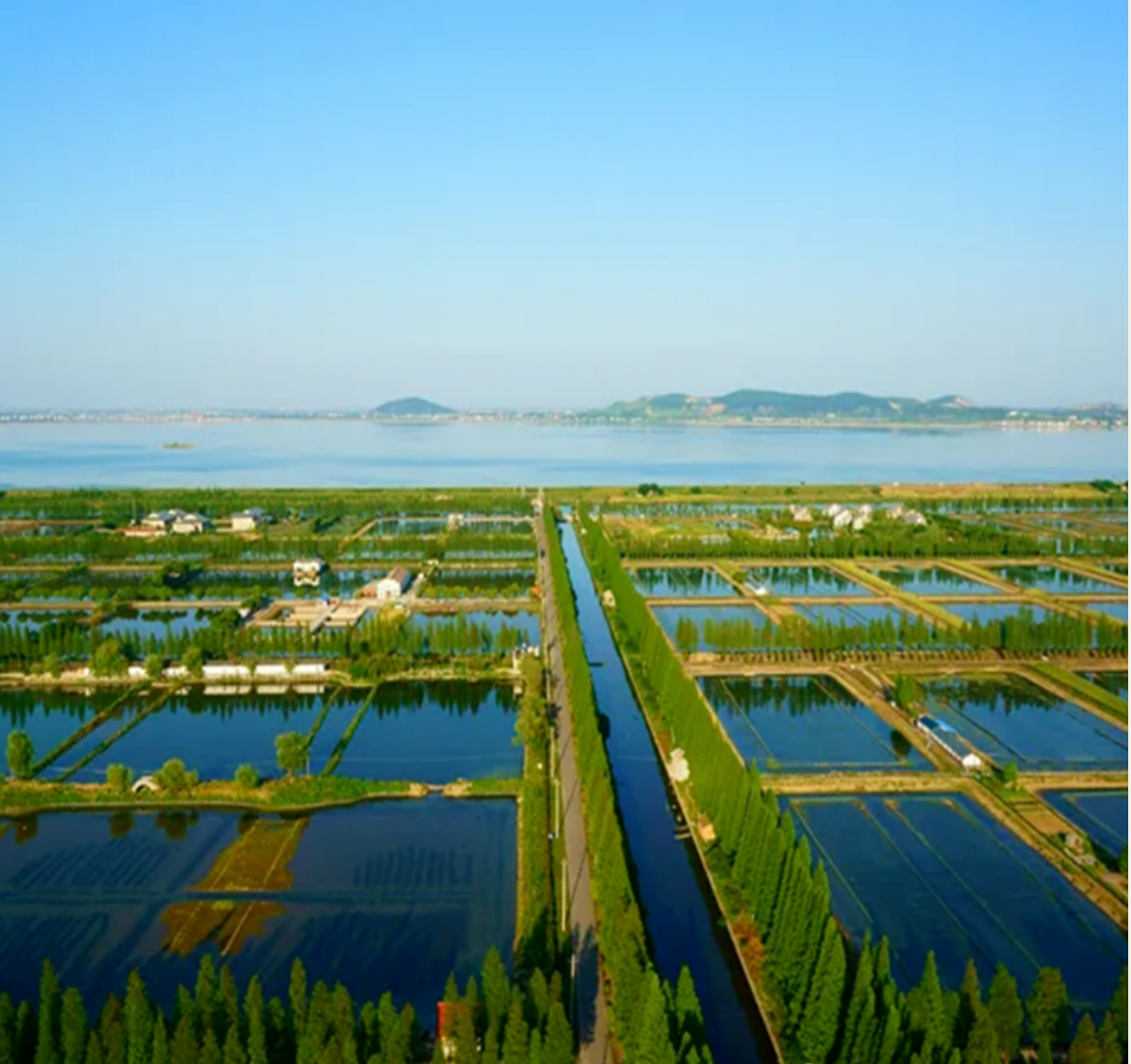 859e662540d4a501ecf45f59393213d9