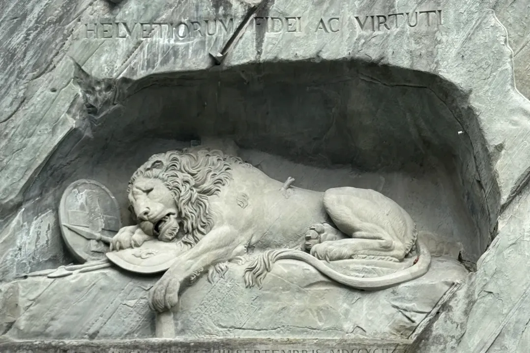 859ff0ed8a028e8c2e5613a171884dca-sz_3122201