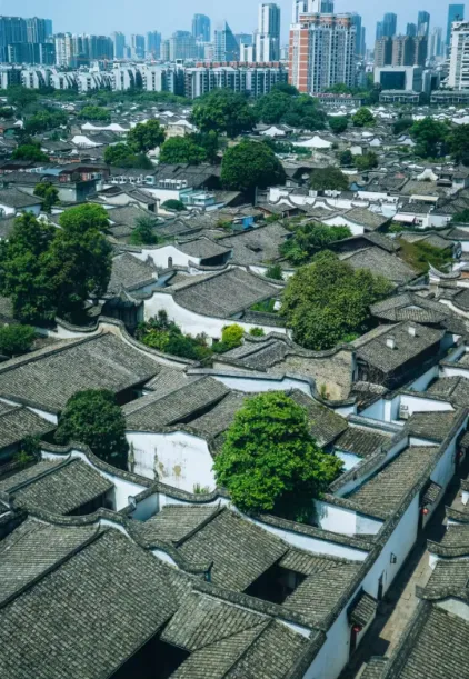 85b5a42f5a4e7d16640b7f114cb34b2b-sz_526381