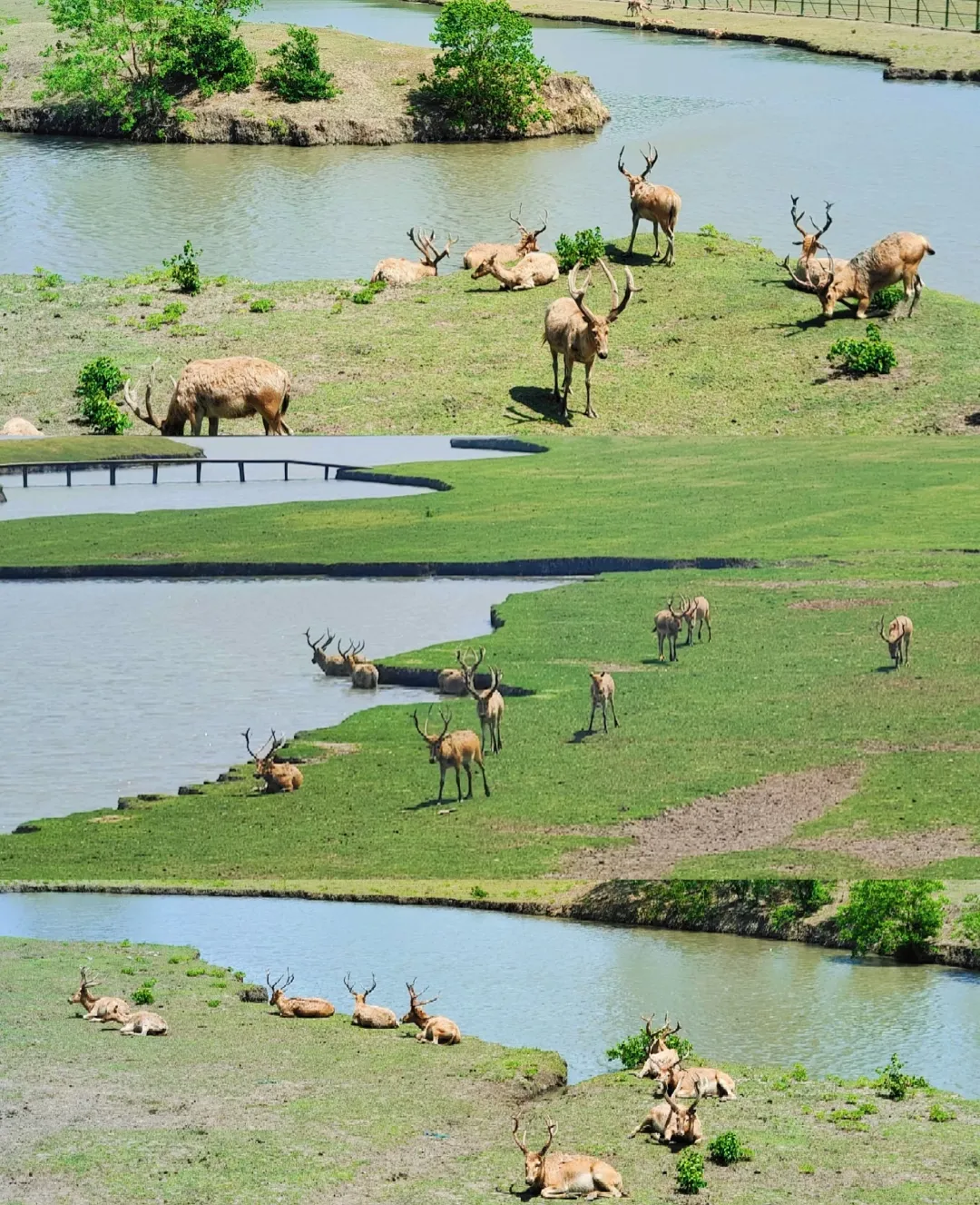 85be5d6571f87b08865a13b1b8bc523e-sz_1249075-1