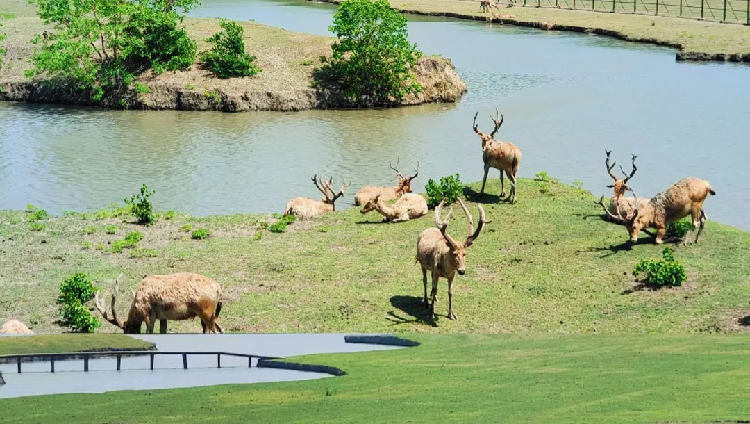 85be5d6571f87b08865a13b1b8bc523e-sz_1249075-2