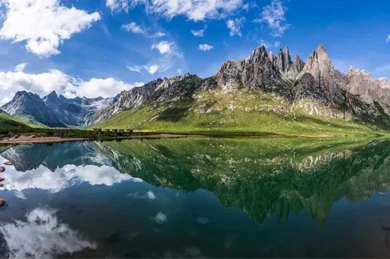 85d054e2d84a085e43414fa7dc7c14eb-sz_800854