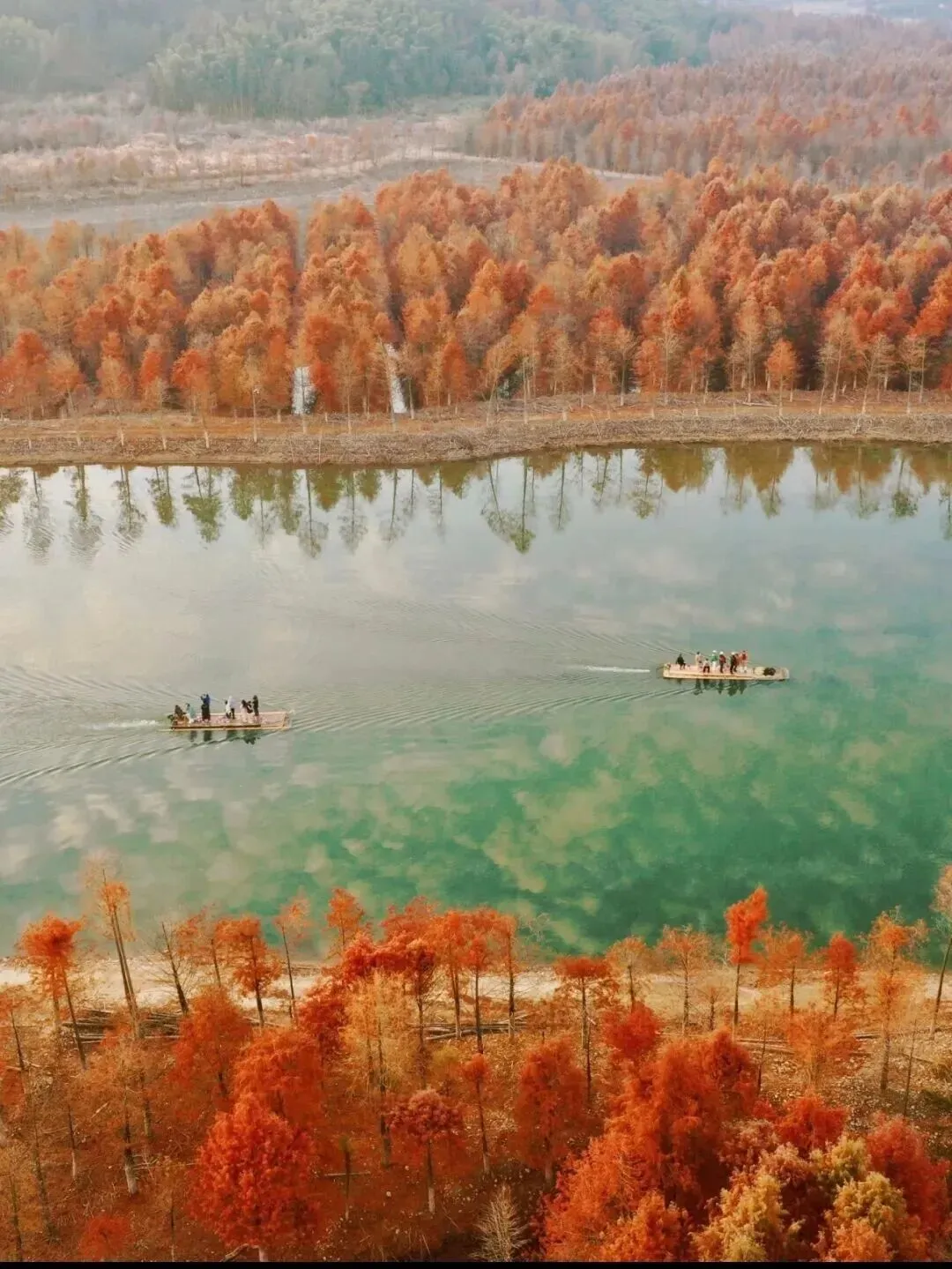 85eb614607b3fa671aaeb085afb6e1a7-sz_239578