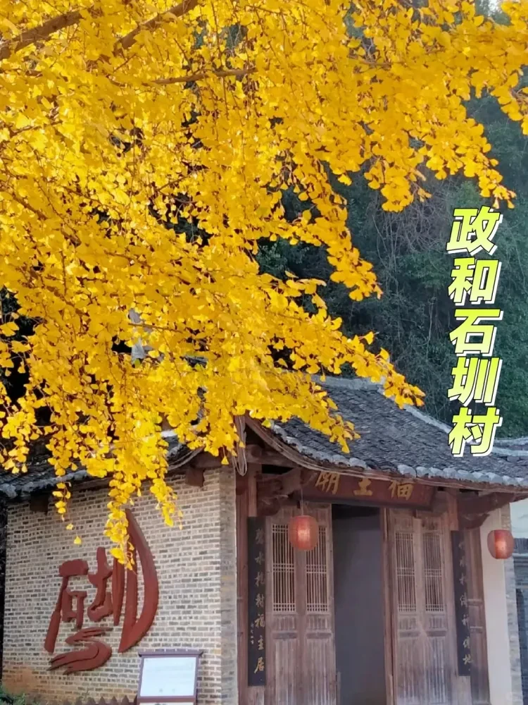 85fa231d86cfca812e4e6c6fc5ff7448-sz_516966