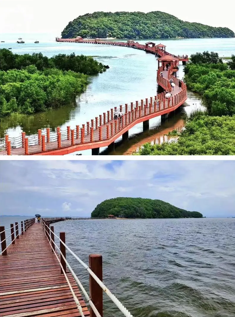 860ee9b86870df5a90828c69b6f92c32-sz_218622