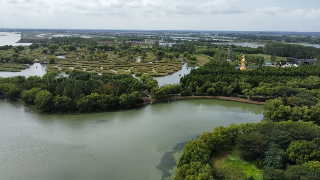 8627b1aa8b27d86e4bb1ae264cc99fe8-sz_2772127