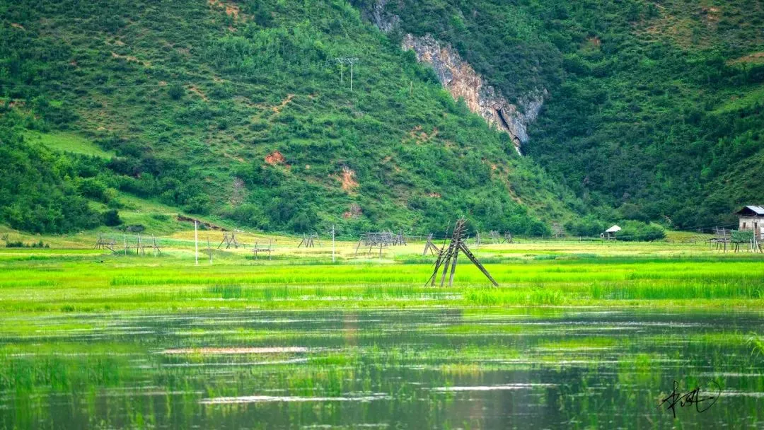 8633a2b8879ca4a91c1ccefd7cbf87d7-sz_174370 8633a2b8879ca4a91c1ccefd7cbf87d7-sz_174370