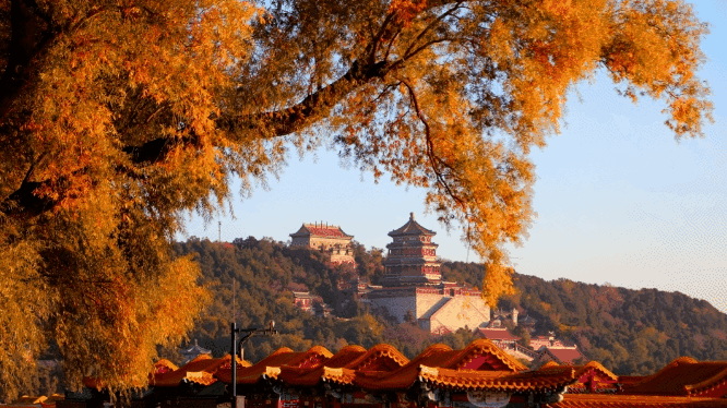 863de99d038a642be364c405be035327-sz_372573