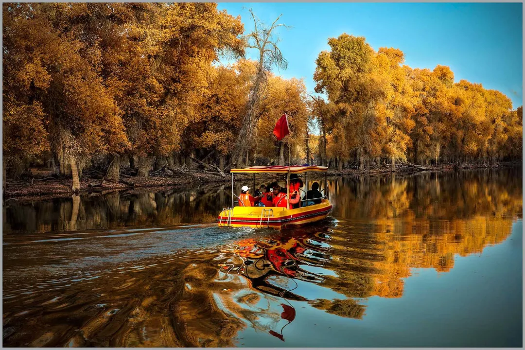 866a66a17247231b4decfe6d19fe6327-sz_486024