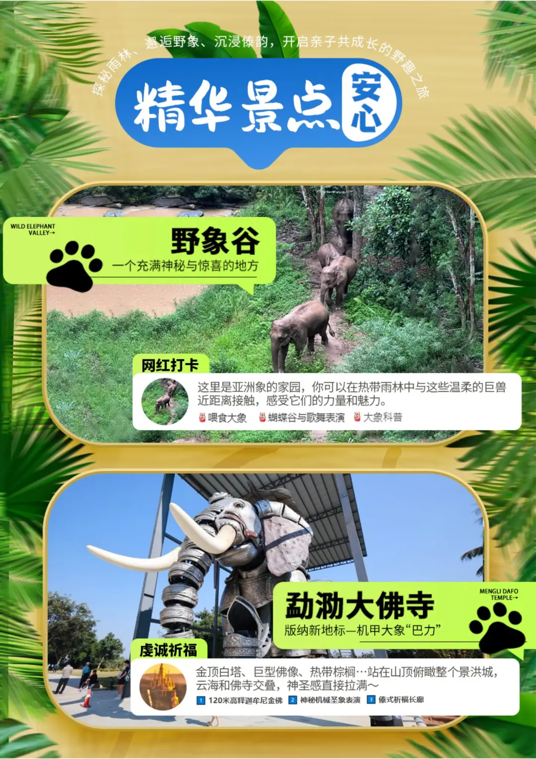 866d6ad37b7d8206d720e6b40bda0625-sz_502764