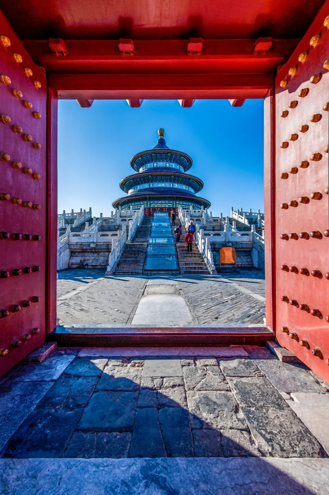 8684ed69dfd333ed5332c01bcc981cb4-sz_2646421