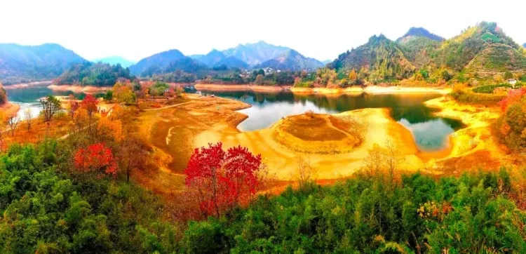 868f42775552578e62bc0e0e2f8101c0-sz_145199