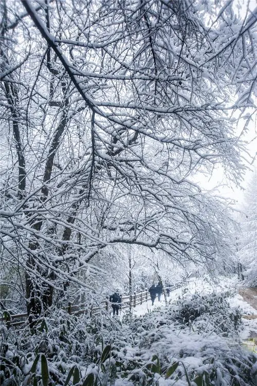 86b0182645e072b3e642d39819848e32-sz_139848