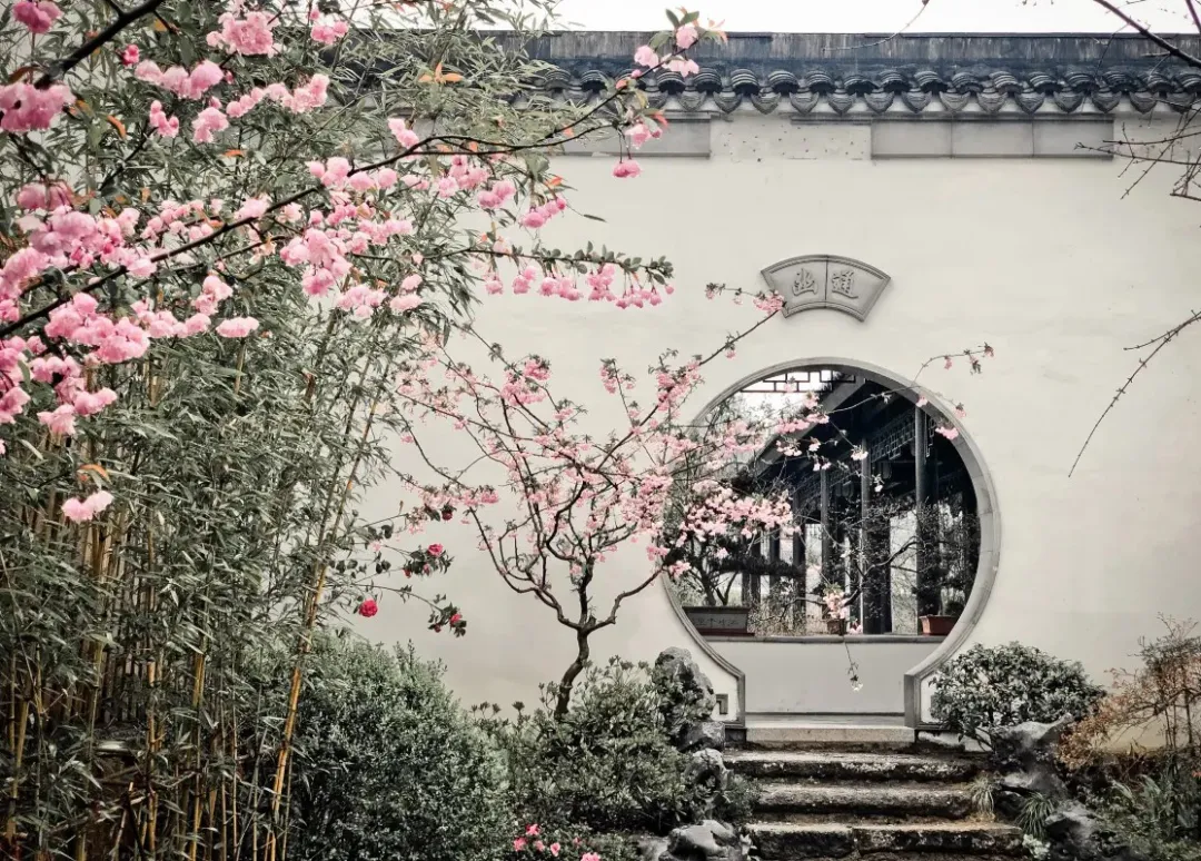 8709625b3c975bb7b8e3f436e0f9bc5f-sz_822808