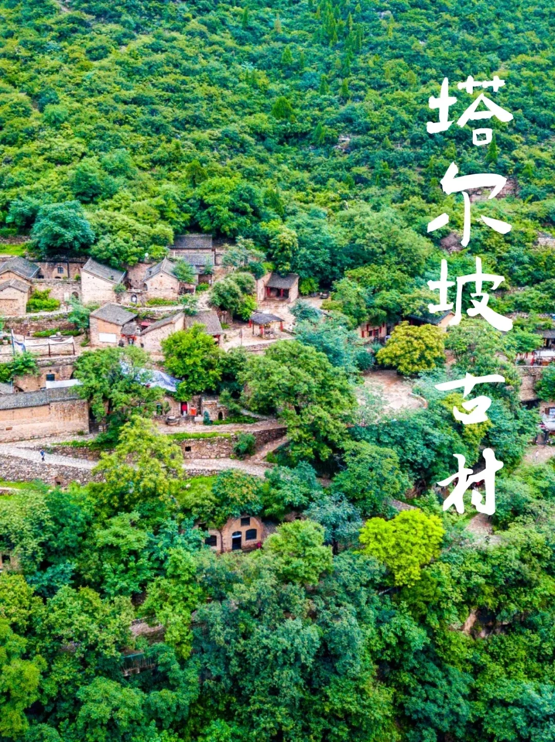 873cf9d2919af9771434582240017655-sz_1540649 873cf9d2919af9771434582240017655-sz_1540649