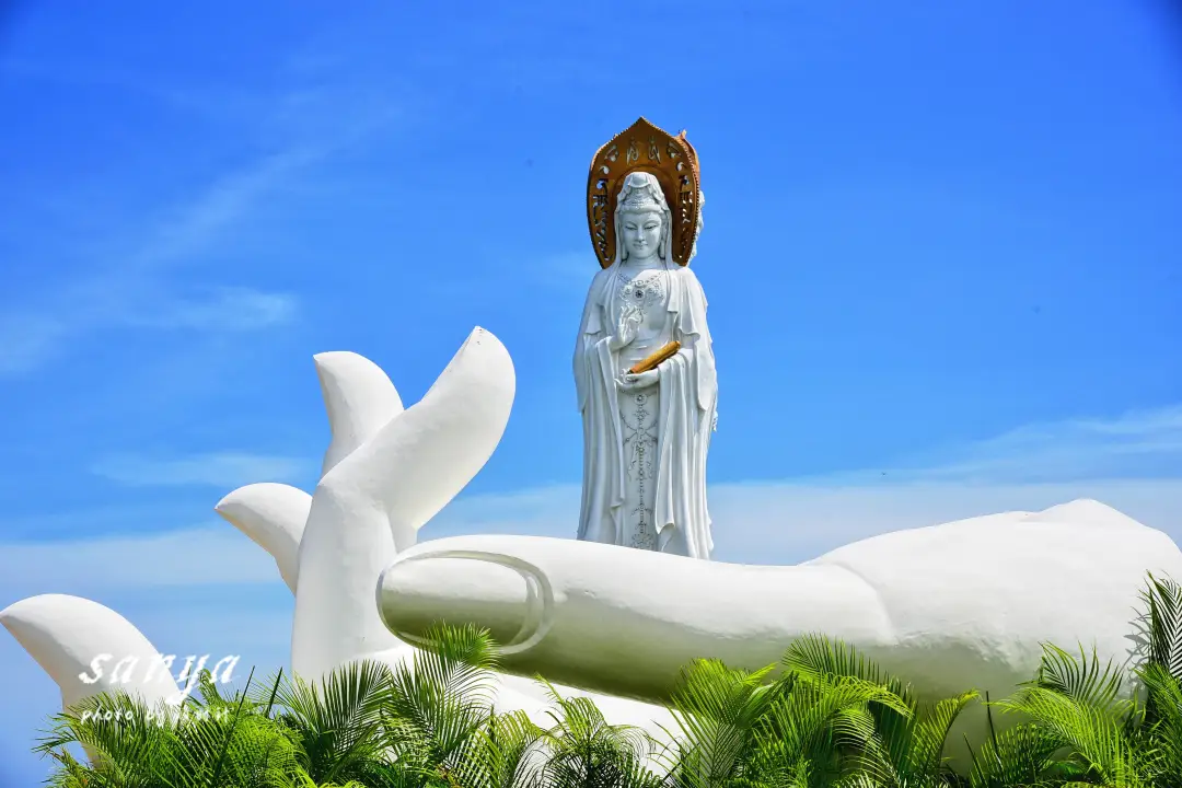 874ed325f67b9f73f7ac3ebca525ba0b-sz_1733455