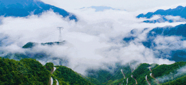 8763497f9c5d4b209bc4199bce578c5c-sz_149400