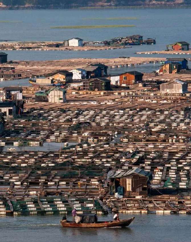 877591e762293f41cf5f8187f02165ab-sz_136954