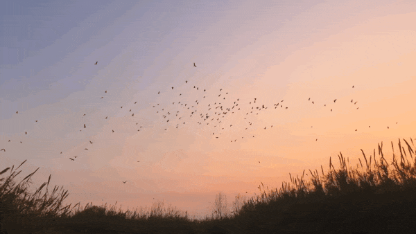 87a9e0af7f97aaad5a1daa92701483ab-sz_1247368