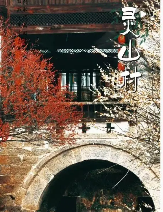 87bb694a1569a35c2f1d1c16088da68c-sz_110852 87bb694a1569a35c2f1d1c16088da68c-sz_110852