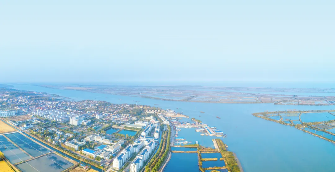 87e48ce20aff5a91bf3899cc11444d58-sz_706612