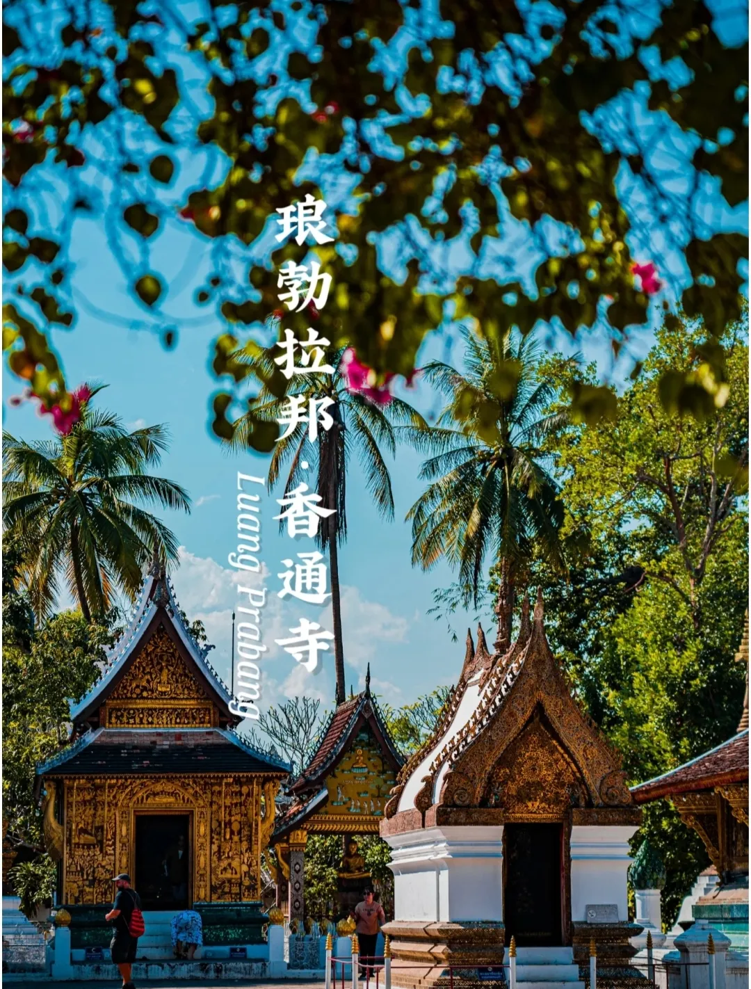 87e4e6553298d3a9ccc2d678f576c074-sz_1320021 87e4e6553298d3a9ccc2d678f576c074-sz_1320021