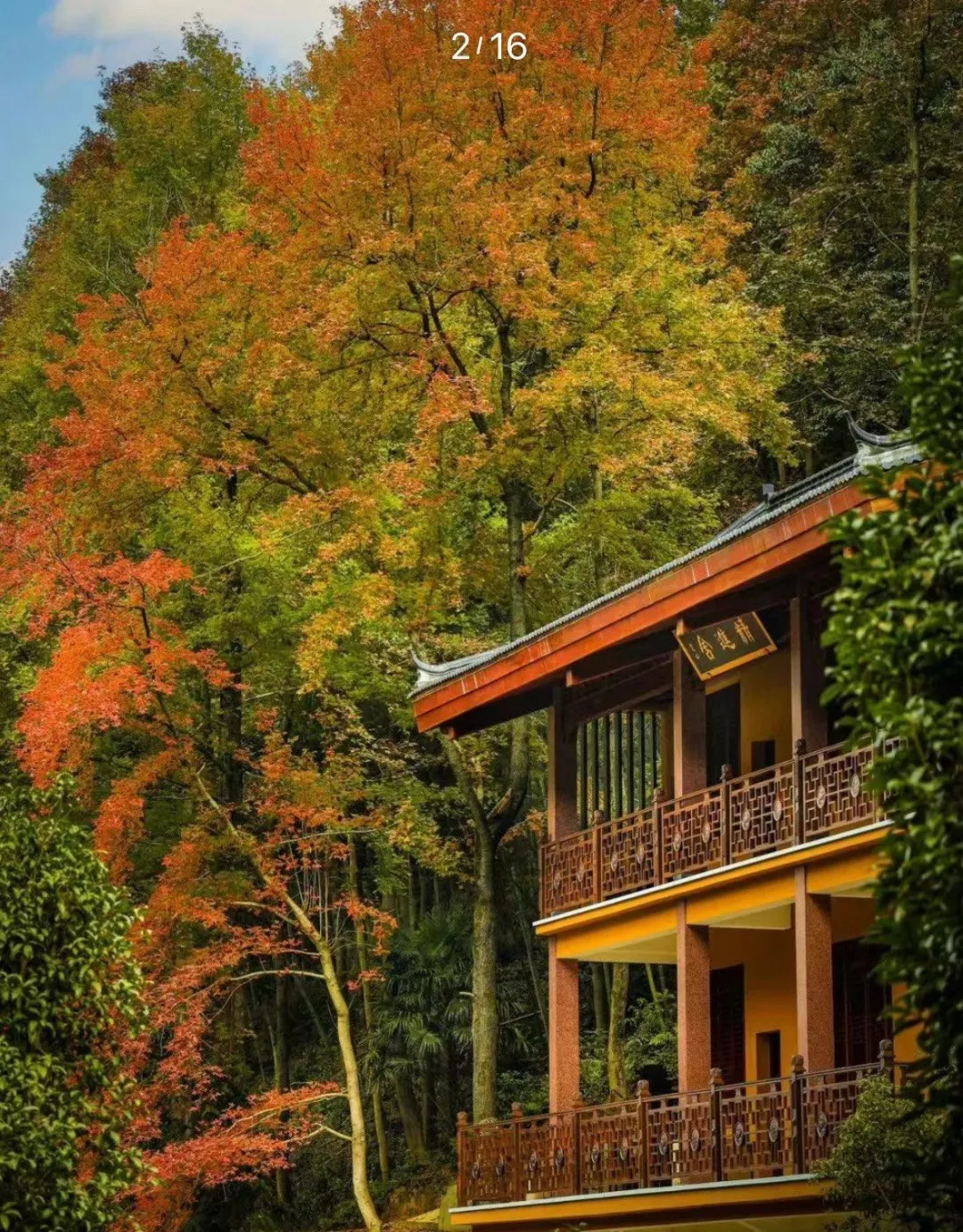 88102dbb73911d4194a41e308dc068c7-sz_528270 88102dbb73911d4194a41e308dc068c7-sz_528270