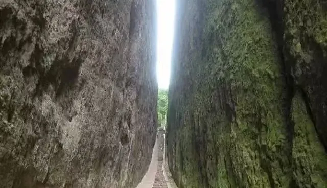 881ecb74629be4e92d38290ad3895f7e-sz_718766 881ecb74629be4e92d38290ad3895f7e-sz_718766