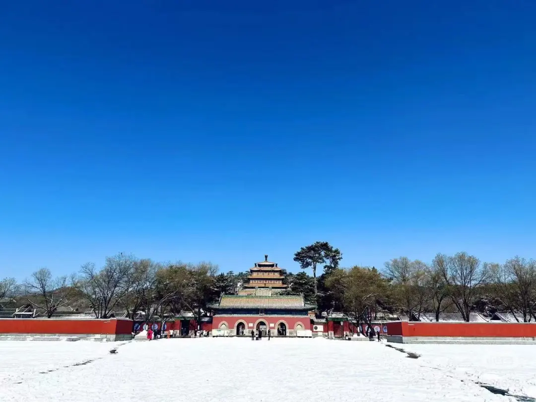 88501d2d9175325cbad91cc21a0452d7-sz_153053